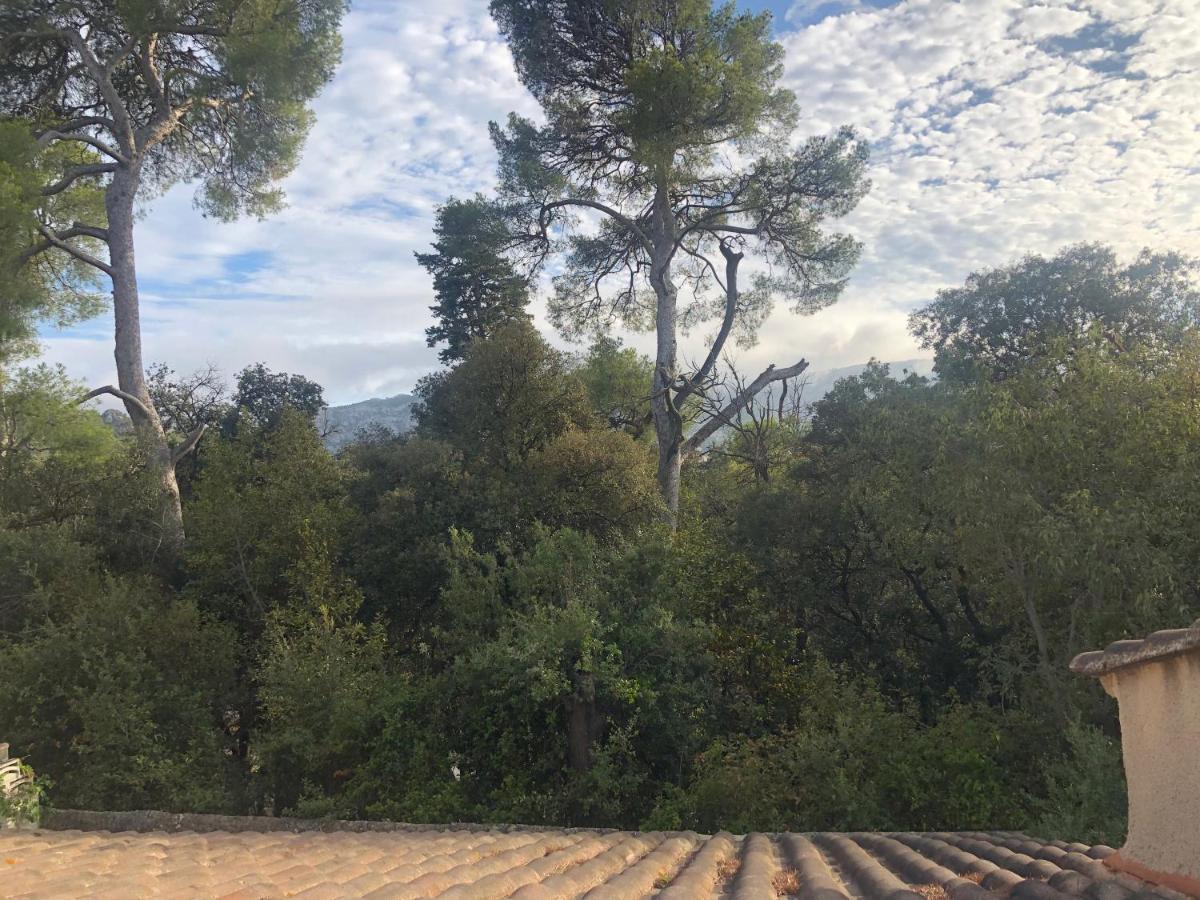 Bed and Breakfast Les Magnolias Marseilles Exterior foto